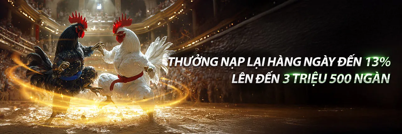 Đá gà trực tuyến shbet0 nổ hũ
